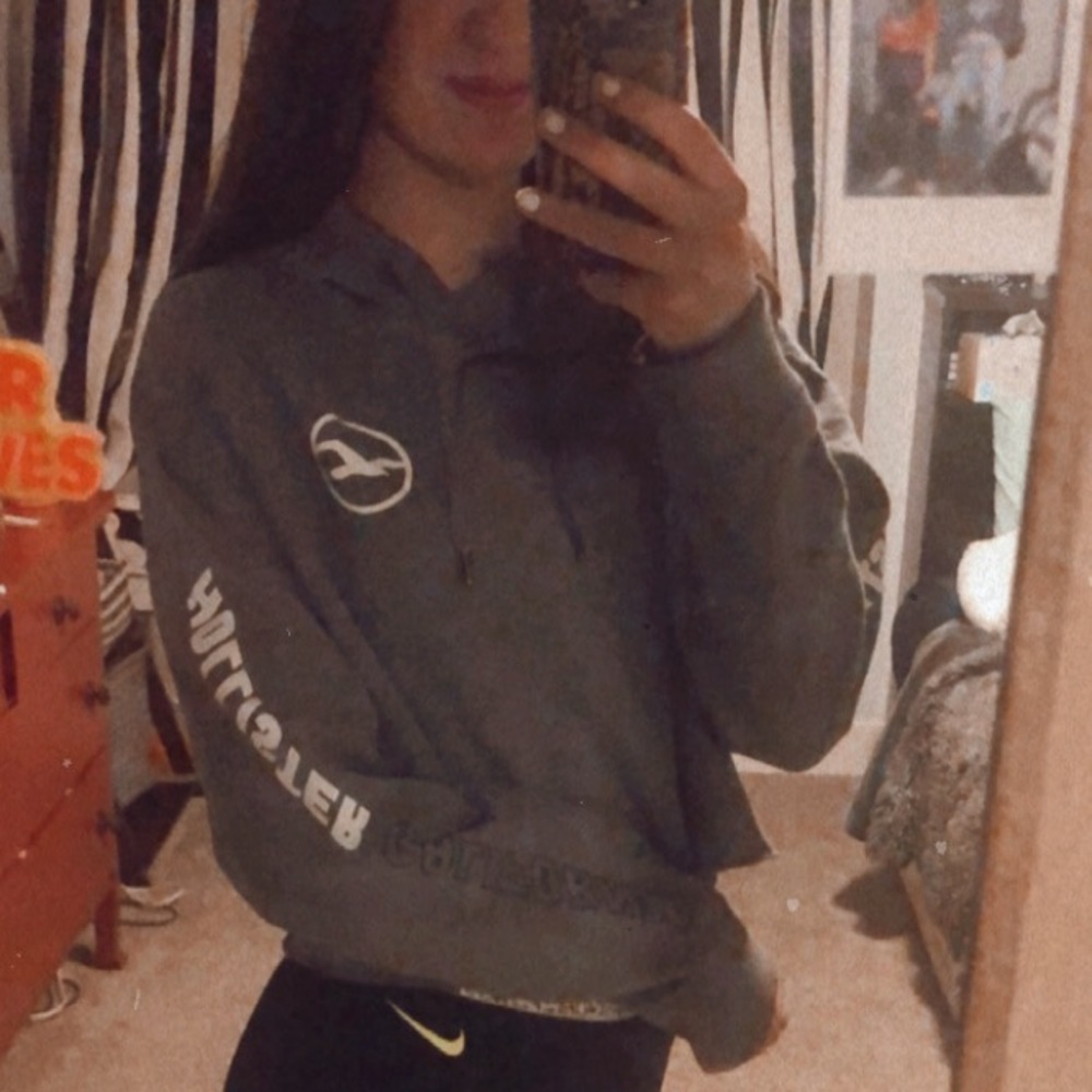 Cropped Hollister Hoodie